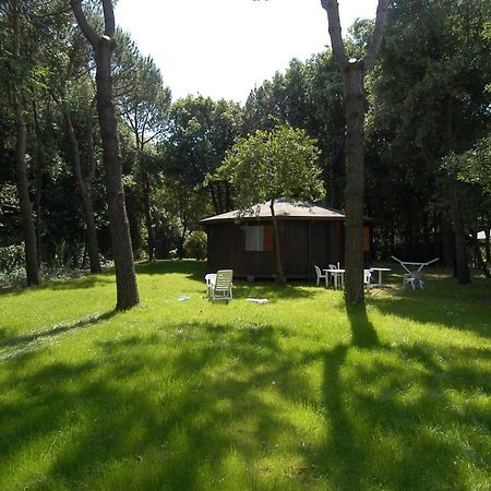 Residence Il Fortino Marina di Massa Eksteriør billede